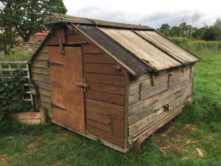 the-best-plastic-chicken-coop-read-before-buying-honest-review