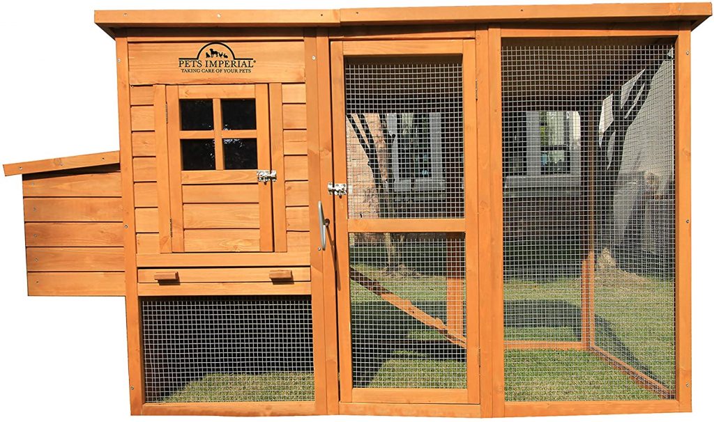 The Best Chicken Coop for 4 Chickens