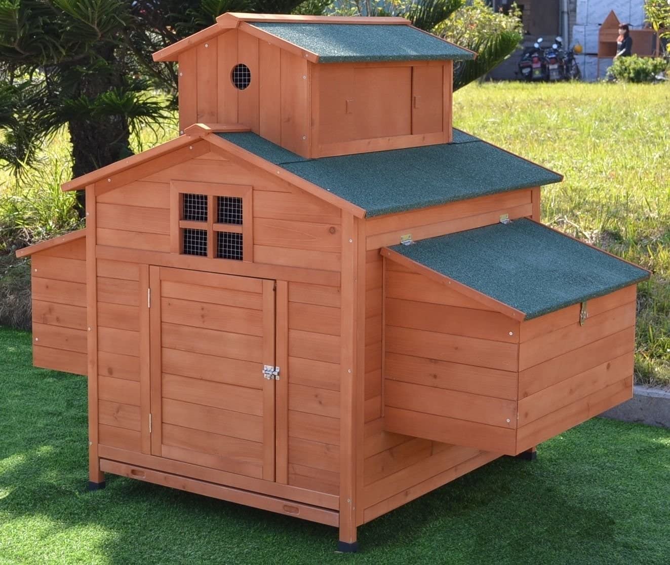 Best Chicken Coops Buyers Review Guide Large, Small, Plastic, Walk in